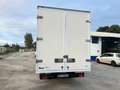 Iveco Daily Daily 35S12 2.3 HPT PL Cabinato Blanc - thumbnail 5