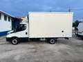 Iveco Daily Daily 35S12 2.3 HPT PL Cabinato Blanc - thumbnail 3