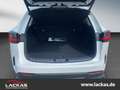 Lexus NX 350h EXECUTIVE*4x4*HUD*AHK*PANO*15J-GARANTIE* Blanc - thumbnail 7