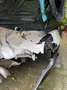 SEAT Leon 2.0 TDI 110kW Style DSG Sportstourer Weiß - thumbnail 19