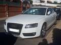 Audi A5 A5 Sportback 2.0TDI 170 Blanco - thumbnail 3
