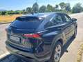 Lexus NX 300 NX I 2014 300h 2.5 Luxury 4wd cvt Nero - thumbnail 2