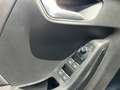 Ford Puma ST-Line X LED+Navi+Kamera+Winterpaket Grau - thumbnail 14
