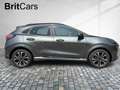 Ford Puma ST-Line X LED+Navi+Kamera+Winterpaket Grau - thumbnail 6
