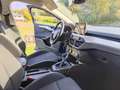 Ford Focus Focus 1,5 EcoBlue ST-Line Business ST-Line Business Blau - thumbnail 3