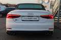 Audi S5 Cabrio 3.0 TFSI quattro*ACC*KAMERA*20ZOLL* Weiß - thumbnail 17