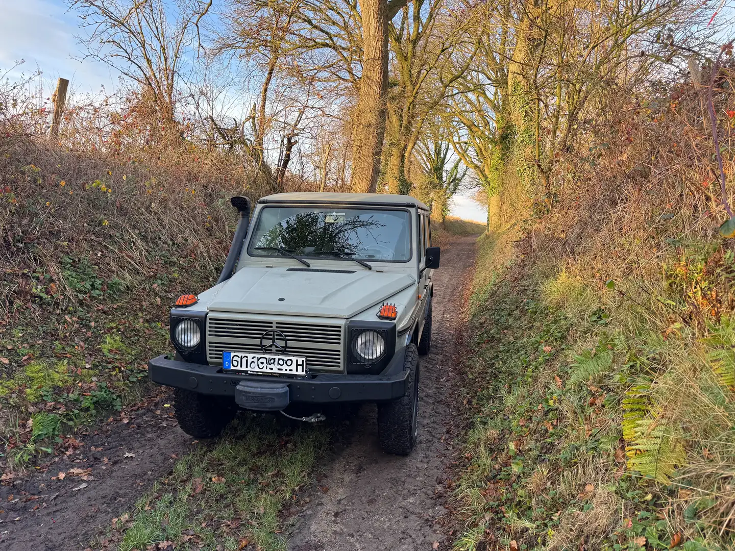 Mercedes-Benz G 290 Mercedes G290 Lang Grau - 2