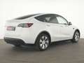 Tesla Model Y AWD|Glasdach|Rückfahrkamera|SHZ|Navi Weiß - thumbnail 6