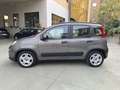 Fiat Panda 1.0 hybrid City Life PREZZO REALE - thumbnail 5