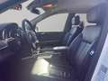 Mercedes-Benz GL 350 cdi BE Sport 7 4matic auto my11 Weiß - thumbnail 13