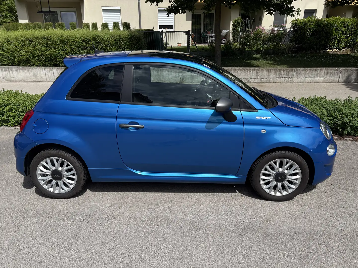 Fiat 500 FireFly Mild-Hybrid Sport | Glasdach | Italia Blau - 2