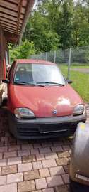 Seicento 1.1 Young