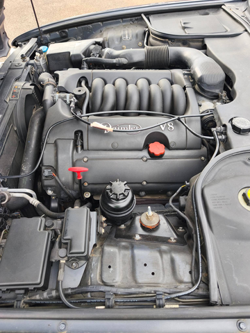 Jaguar Daimler V8 ATMOSPHERIQUE 294 CH