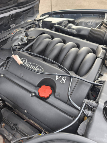 Jaguar Daimler V8 ATMOSPHERIQUE 294 CH