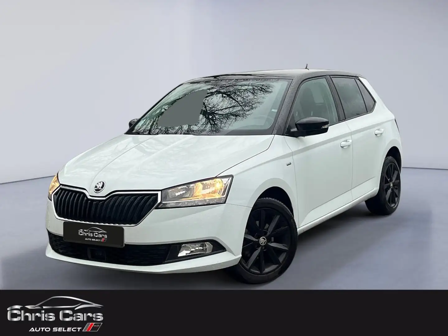 Skoda Fabia 1.0 TSI TURBO CLEVER Blanc - 1