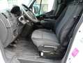 Renault Master 3 L3H2 Hoch Kastenwagen,Diesel,Kamera,Navig Alb - thumbnail 5