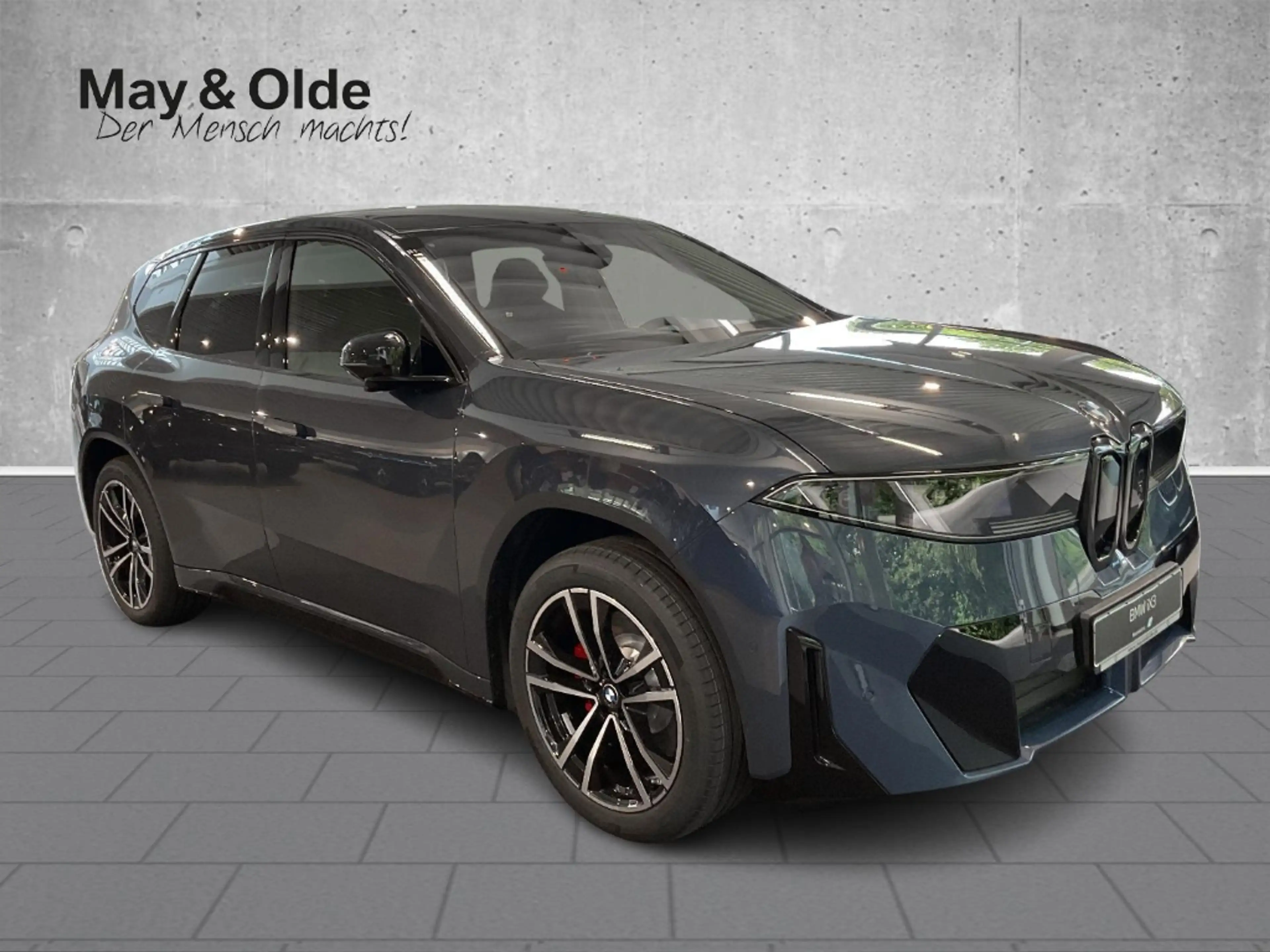 BMW iX3 40 M Sport Pro HeadUp Pano AHK Autobahn 22KW — photo 4