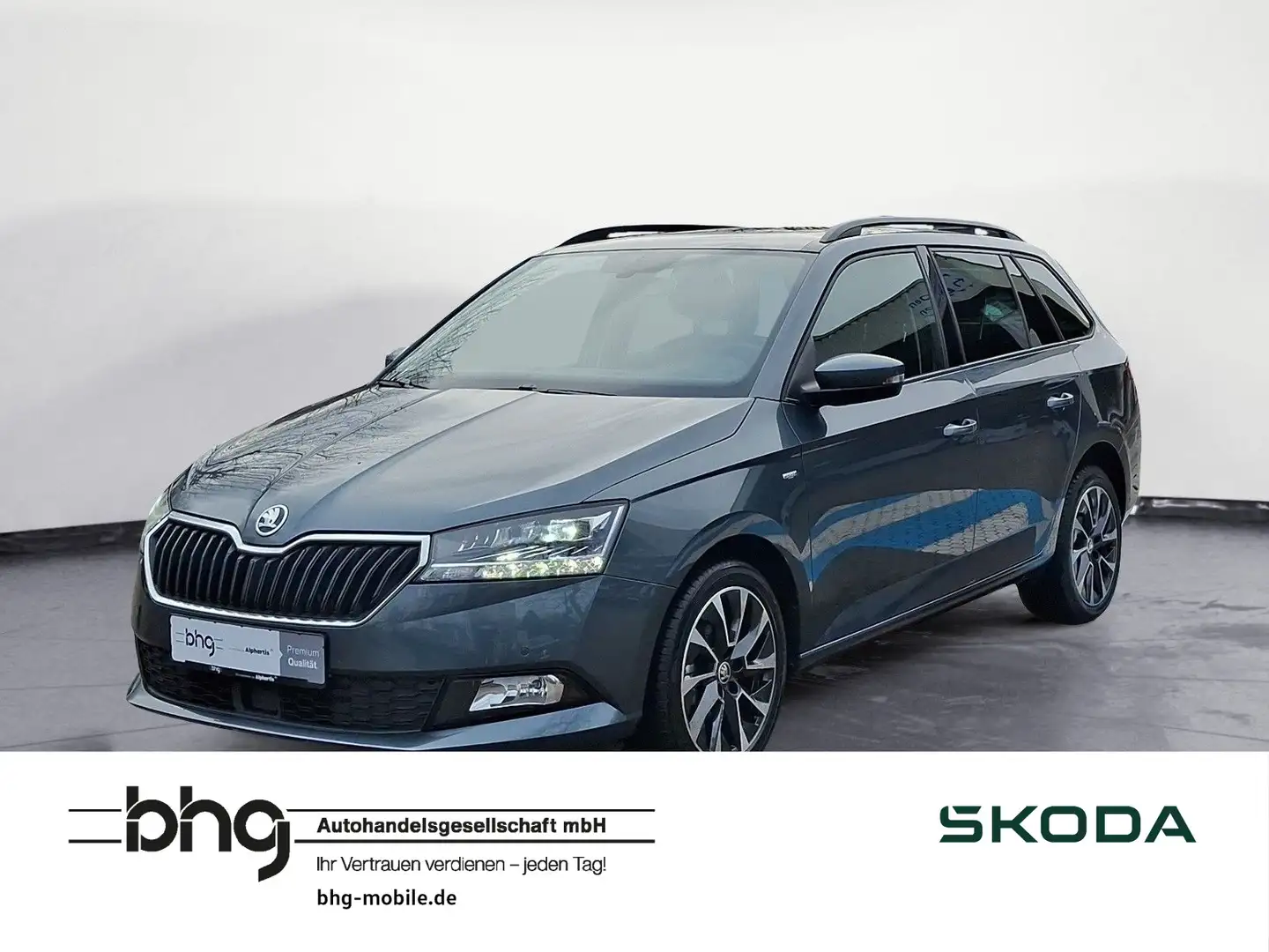 Skoda Fabia Combi 1.0 TSI Best of Drive Grau - 1