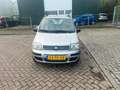 Fiat Panda 1.2 Edizione Cool Airco Elk Ramen 1e Eigenaar Grau - thumbnail 2
