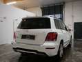 Mercedes-Benz GLK 220 CDI AMG TRITTBRETT PANORAMA Blanc - thumbnail 3