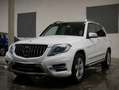 Mercedes-Benz GLK 220 CDI AMG TRITTBRETT PANORAMA Blanc - thumbnail 2