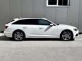 Audi A6 Avant 40 TDI quat. s-tron. Business/Leder/AHK/A... Weiß - thumbnail 3