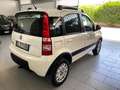 Fiat Panda 1.2 4x4 Climbing Bianco - thumbnail 4