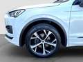 SEAT Tarraco FR 2.0 TDI*PANO*7-SITZER*BEATS*ACC*LEDER Blanc - thumbnail 11