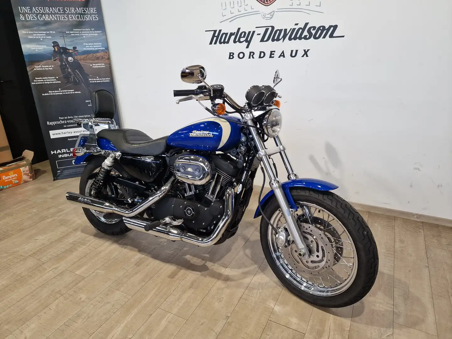 Harley-Davidson Sportster 1200 Bleu - 2