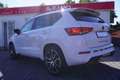 CUPRA Ateca 2.0 TSI DSG 4Drive LED ACC Navi Panorama Weiß - thumbnail 3