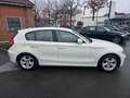 BMW 118 118d~1.Hand~Automatik~AHK~Xenon~Volleder~Scheckhef Weiß - thumbnail 4
