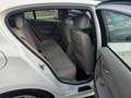 BMW 118 118d~1.Hand~Automatik~AHK~Xenon~Volleder~Scheckhef Weiß - thumbnail 20