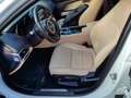 Jaguar XE XE 2.0d i4 R-Sport 180cv auto my18 Bílá - thumbnail 8