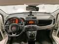 Fiat Panda Panda 1.0 hybrid City Life Bluetooth/Sensori Blanc - thumbnail 9