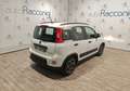 Fiat Panda Panda 1.0 hybrid City Life Bluetooth/Sensori Blanc - thumbnail 6