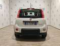 Fiat Panda Panda 1.0 hybrid City Life Bluetooth/Sensori Blanc - thumbnail 4