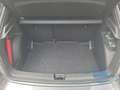 Skoda Fabia Monte Carlo 1.5 TSI 5J. Gar. DYNAMIC-Paket Grau - thumbnail 10