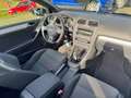 Volkswagen Golf Cabriolet Golf VI Cabrio Cabrio 1.4 TSI TOP Zustand Paars - thumbnail 10