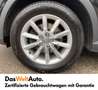 Audi Q3 2.0 TDI quattro daylight Schwarz - thumbnail 15