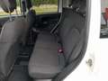 Fiat Panda Panda Cross 1.0 FireFly S&S Hybrid Weiß - thumbnail 10