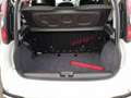 Fiat Panda Panda Cross 1.0 FireFly S&S Hybrid Weiß - thumbnail 11