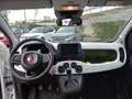 Fiat Panda Panda Cross 1.0 FireFly S&S Hybrid Weiß - thumbnail 14