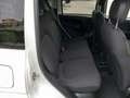 Fiat Panda Panda Cross 1.0 FireFly S&S Hybrid Weiß - thumbnail 13