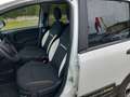Fiat Panda Panda Cross 1.0 FireFly S&S Hybrid Weiß - thumbnail 9