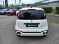 Fiat Panda Panda Cross 1.0 FireFly S&S Hybrid Weiß - thumbnail 5