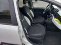 Fiat Panda Panda Cross 1.0 FireFly S&S Hybrid Weiß - thumbnail 12