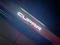 CUPRA Formentor 2.0 TDI 150 CV 4Drive DSG Schwarz - thumbnail 43