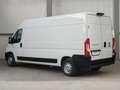 Fiat Ducato 35 2.3 MJT 140CV PL-TM L3H2 Passo Lungo Tetto Alto Bianco - thumbnail 4