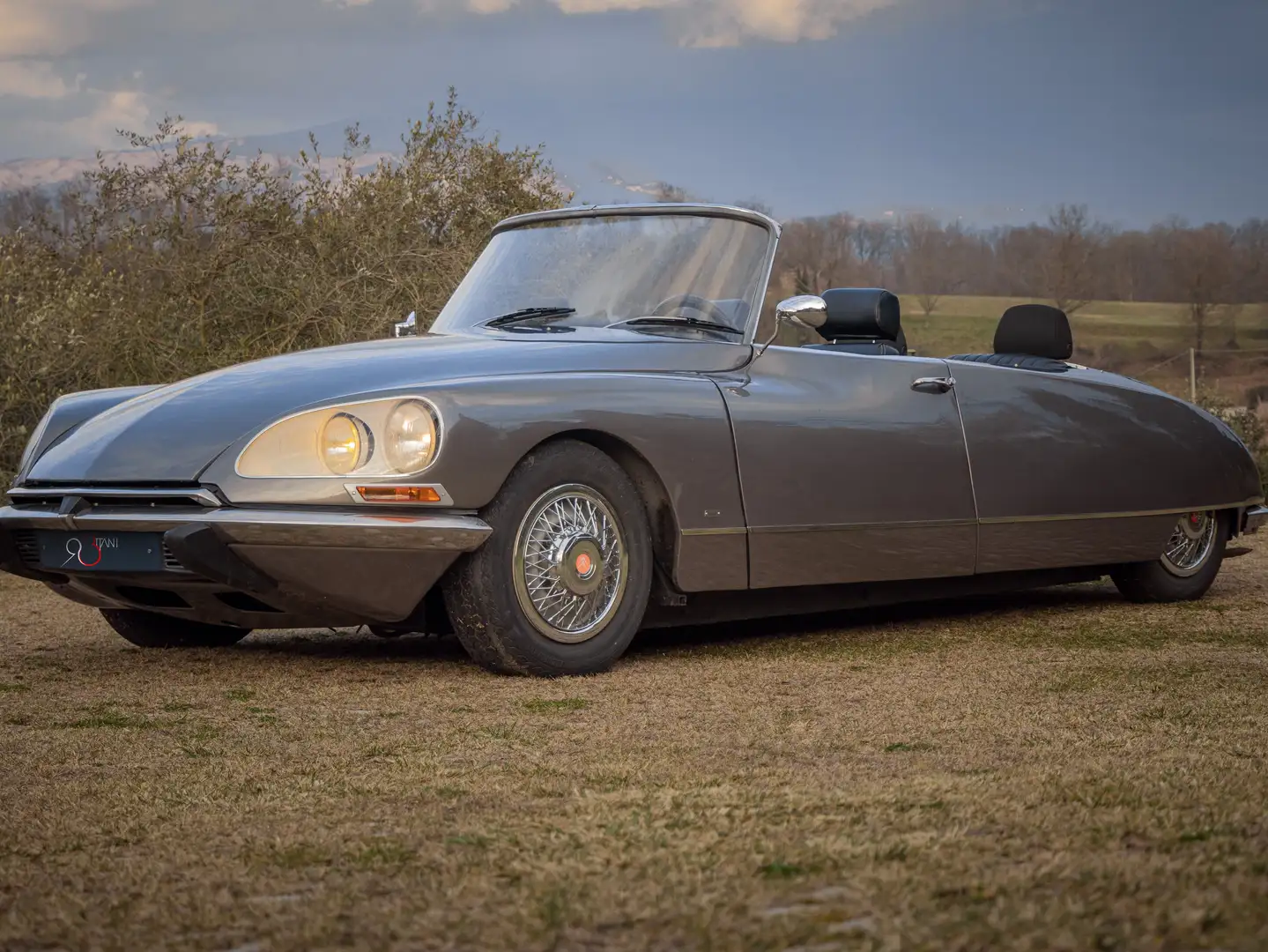 Citroen DS Speedster Gri - 1