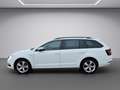Skoda Octavia Combi Clever nur Gewerbe/Händler Blanco - thumbnail 3